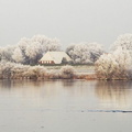  Foto des Monats Januar 2009