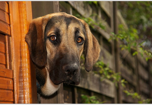 bild des monats 2013 04 gwun