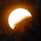 mrda IMG 8845 a 9 kl