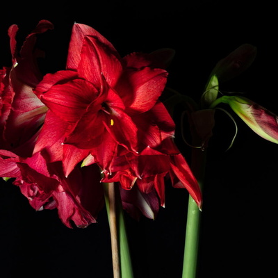 Natur und Landschaft