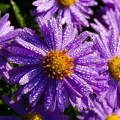 2014 10 04 0560