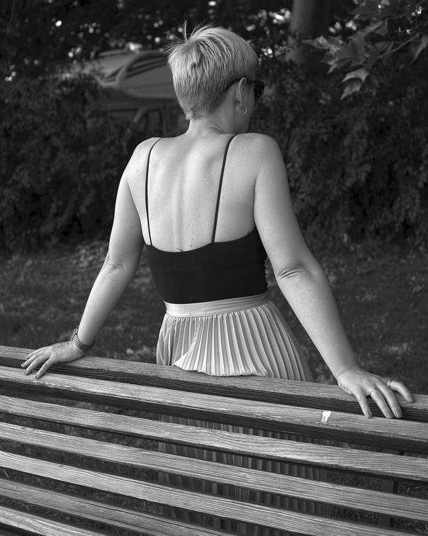 Eine Parkbank an der Elbe in Dresden