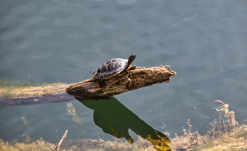 Schwarzwald 2022_2022 04 15_1346.jpg