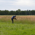 wloh Barockgarten Künsche 2022 2022 06 17 1949