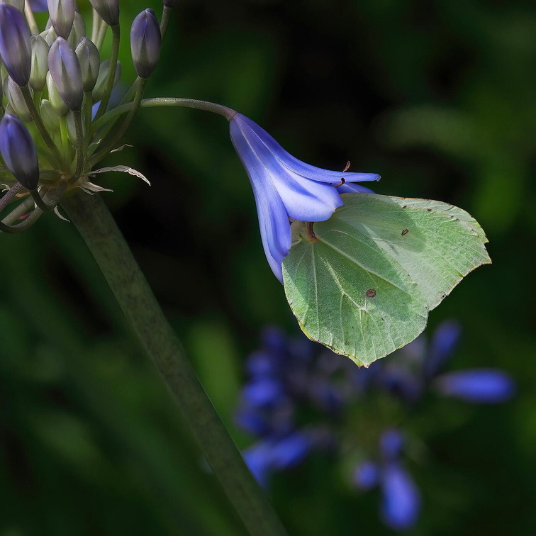 Foto des Monats Juli 2022