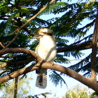 rhen Auswahl Foto des Montas 1