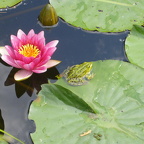 Im Sklupturengarten von Müller-Klugs in Damnatz entdeckt.