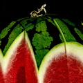 Spitzbogen