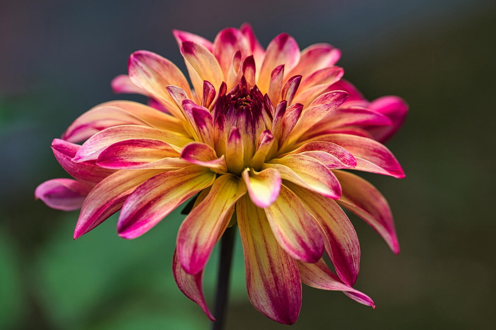 wloh 2022 07 17 1996