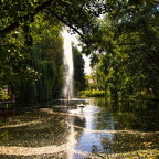 Auswahl für Foto des Monats November