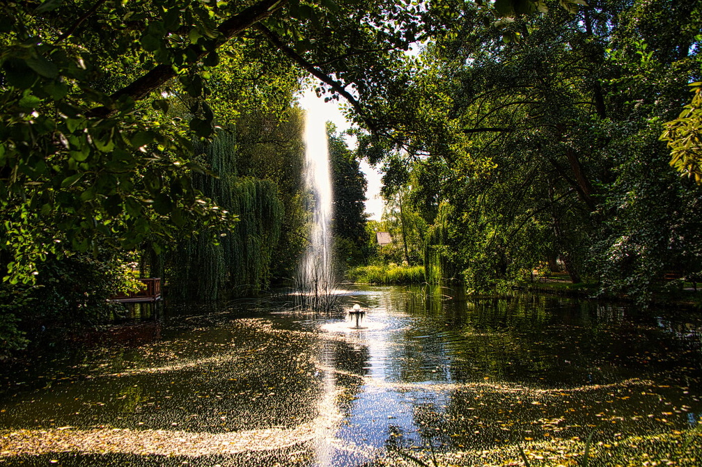 Auswahl für Foto des Monats November