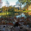 Froschperspektive