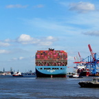 Auswahl Foto des Monats Dezember