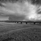 Auswahl Foto des Monats Januar