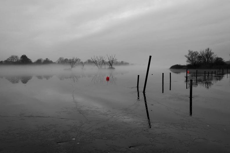 hschr_384A0188 am Gartower See.jpg