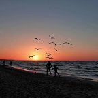 Auswahl Foto des Monats Januar