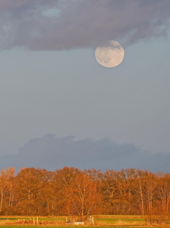 Vollmond - A1060174-5