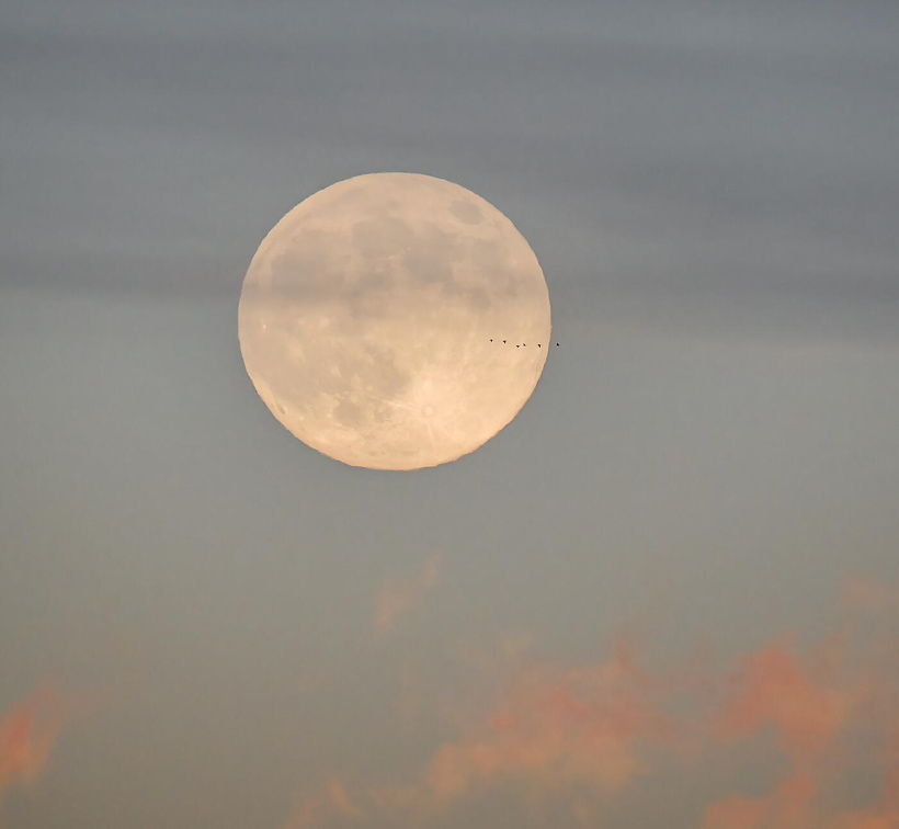 Vollmond - A1060183