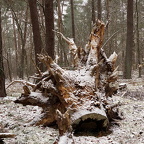 Auswahl Foto des Monats Februar