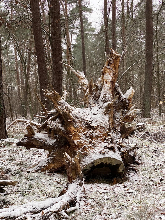 Auswahl Foto des Monats Februar