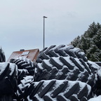 Auswahl Foto des Monats Februar