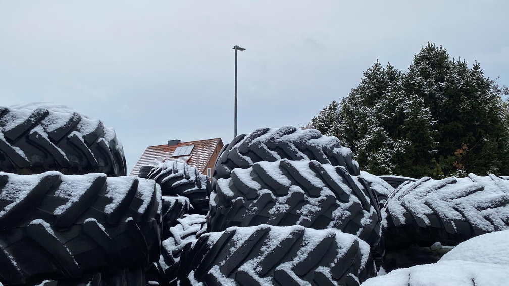 Auswahl Foto des Monats Februar