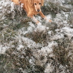 Auswahl Foto des Monats Februar
