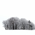 Wintertag