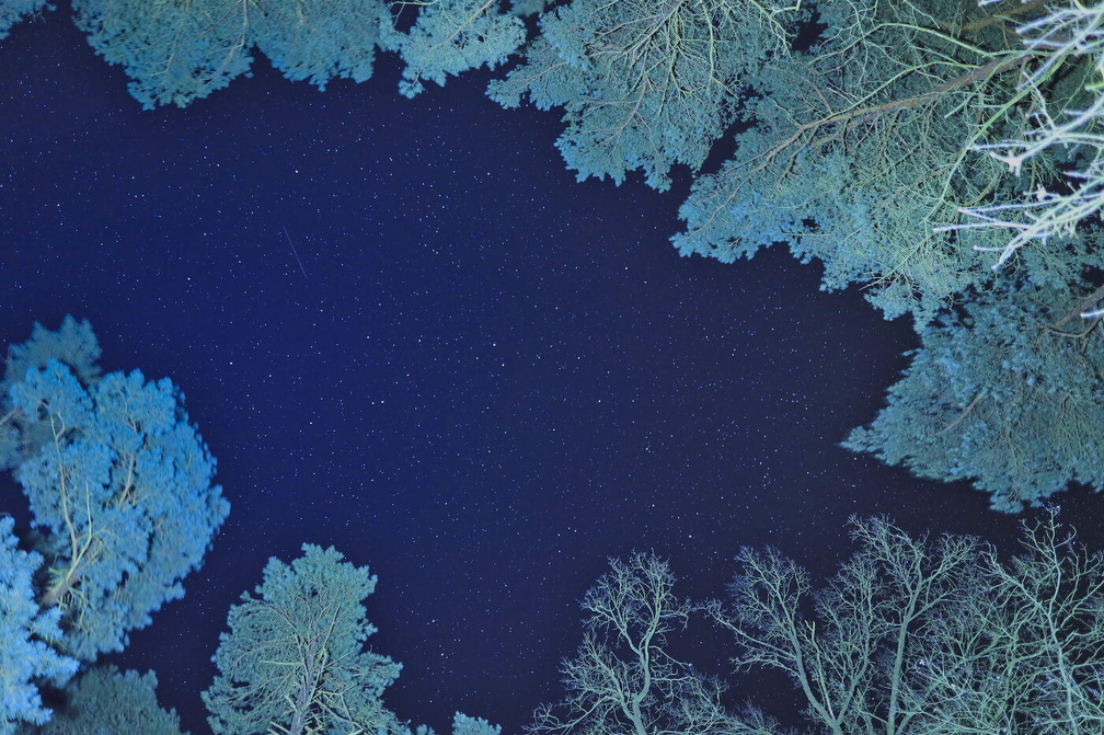 Blick zu den Sternen