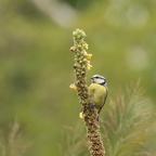 Auswahl Foto des Monats Mai 2023