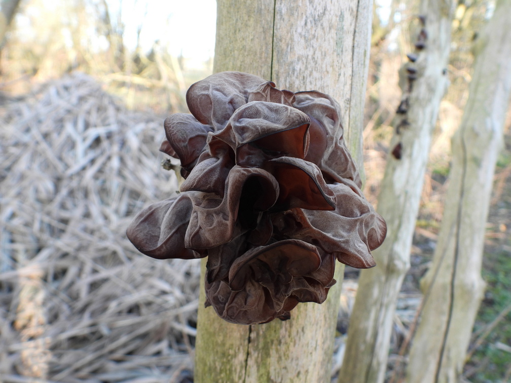 Auswahl Foto des Monats Mai 2023