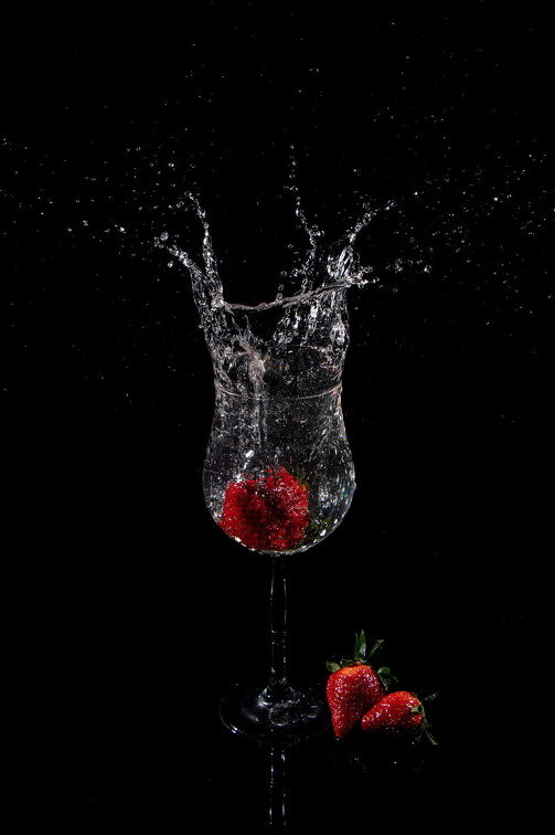 Auswahlbild Foto des Monats Juni