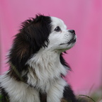 Auswahlbild Foto des Monats September (5)