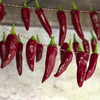 Auswahl Monatsfoto Oktober Thema Herbst