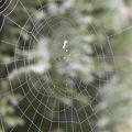 Auswahl Monatsfoto Oktober Thema Herbst