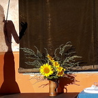 Auswahl zum Foto des Monats November