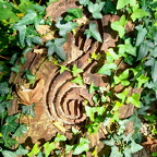 Auswahl zum Foto des Monats November