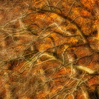 Mehr Herbst geht nicht ...