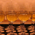 Auswahl  zum Foto des Monats Januar 2024