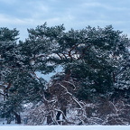 Auswahl  zum Foto des Monats Februar 2024