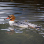 Auswahl  zum Foto des Monats März 2024