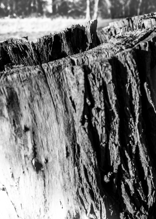 Ekla DSC5496 a Kopie