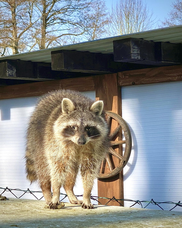 Gartenbewohner in Prisser