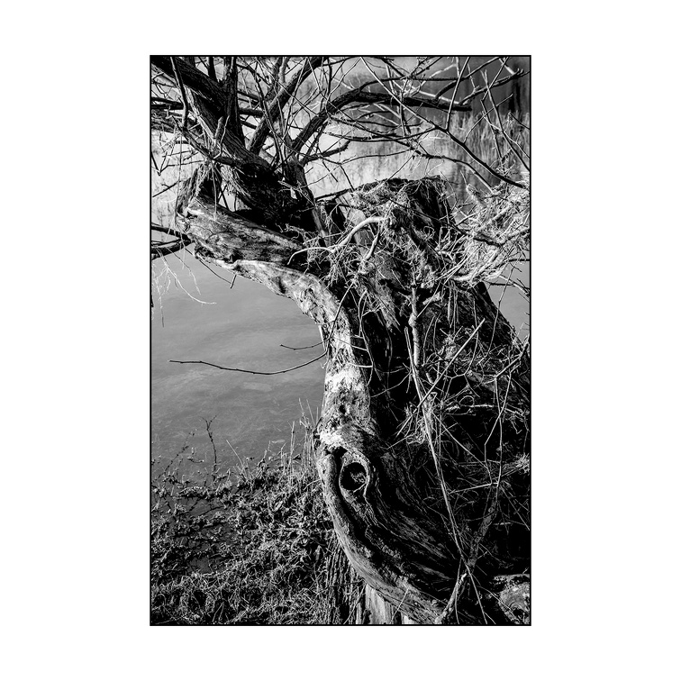 Auswahl zum Foto des Monats April