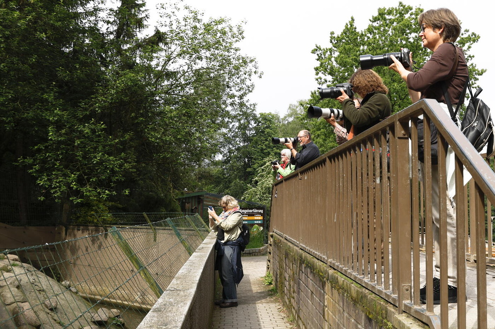 Fotokreis auf Fototour "Tierpark Lüneburger Heide"