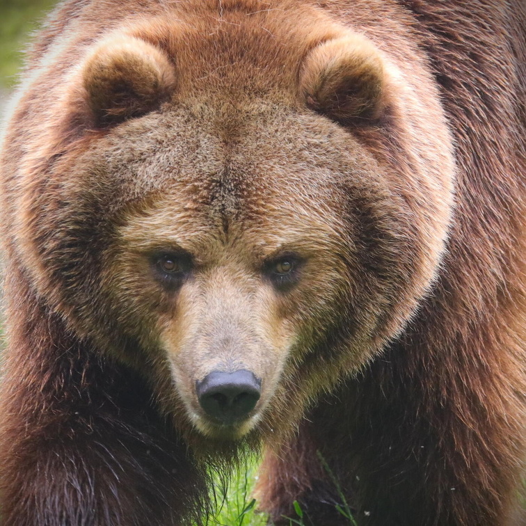 Fotokreis-Ausflug "Wildpark Lüneburger Heide"