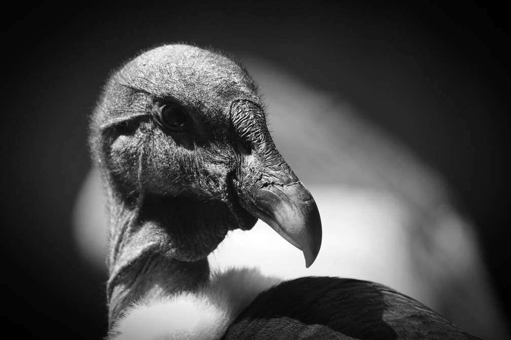 Fotokreis-Ausflug "Wildpark Lüneburger Heide"