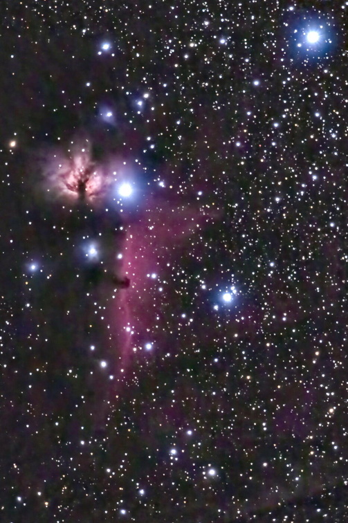 mrda 8631 7 8653 56 a Flamm+Pferdekopf-Nebel original