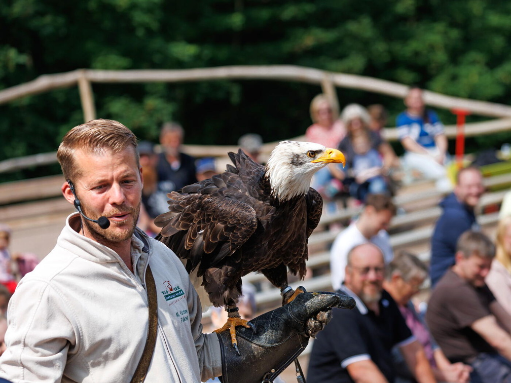 hschr R62 4948 Wildpark Lüneburer Heide