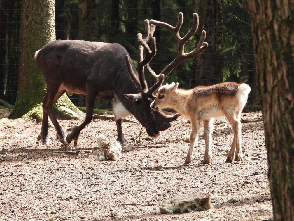 Auswahl  zum Foto des Monats Juli 2024
